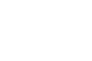 Grønt Punkt